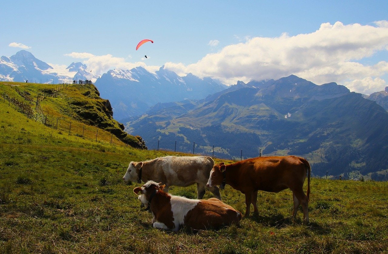 Acquiring Property in Switzerland as a Foreign Buyer: Legal and Tax Considerations