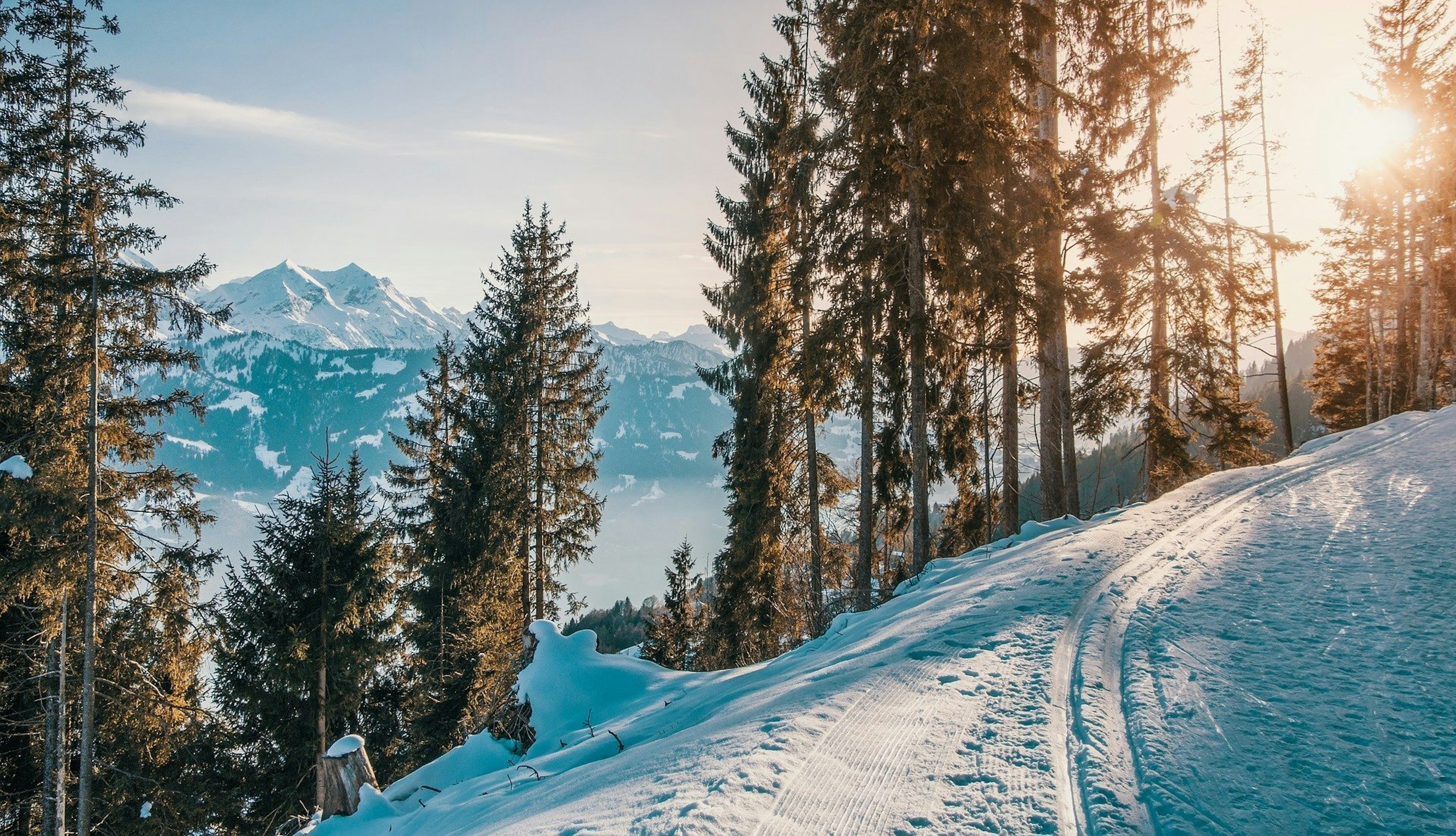 How to successfully sell your ski home this winter remotely